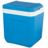 Campingaz Kühlbox Icetime Plus -Freien Camping Angebote M 31390 0